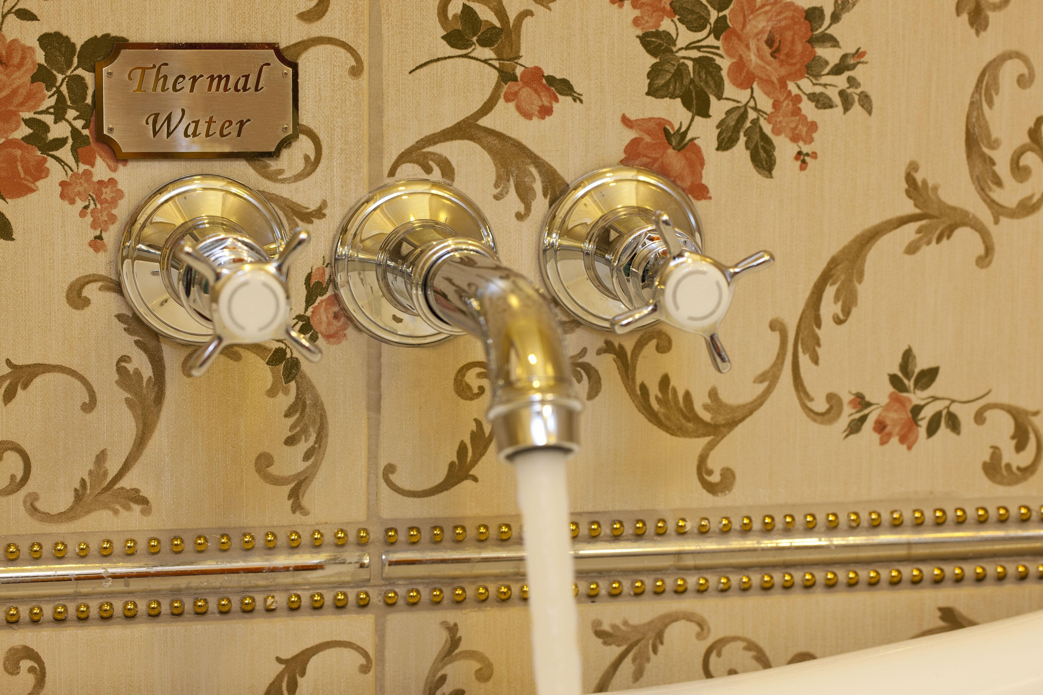Limak Yalova Thermal Boutique Hotel Gokcedere Zewnętrze zdjęcie